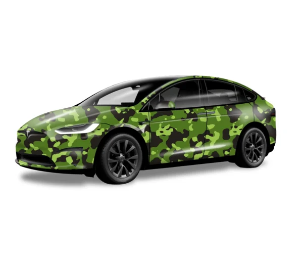 Model X - Image 4
